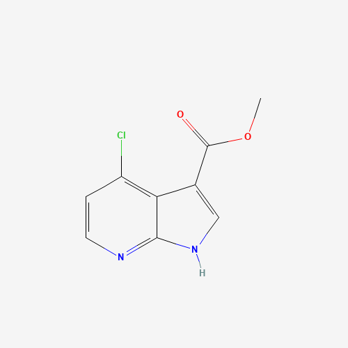 Methyl 4-chloro-1H-pyrrolo[2,3-b]pyridine-3-carboxylate