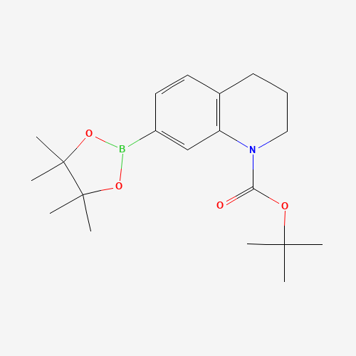 tert-Butyl 7-(4,4,5,5-tetramethyl-1,3,2-dioxaborolan-2-yl)-3,4-dihydroquinoline-1(2H)-carboxylate