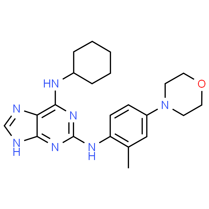 N6-Cyclohexyl-N2-(2-methyl-4-morpholinophenyl)-9H-purine-2,6-diamine