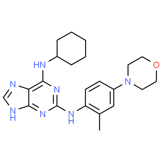 N6-Cyclohexyl-N2-(2-methyl-4-morpholinophenyl)-9H-purine-2,6-diamine