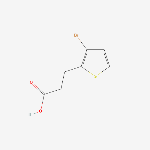 3-(3-Bromothiophen-2-yl)propanoic acid
