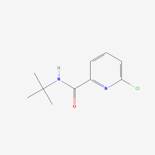 N-(tert-Butyl)-6-chloropicolinamide