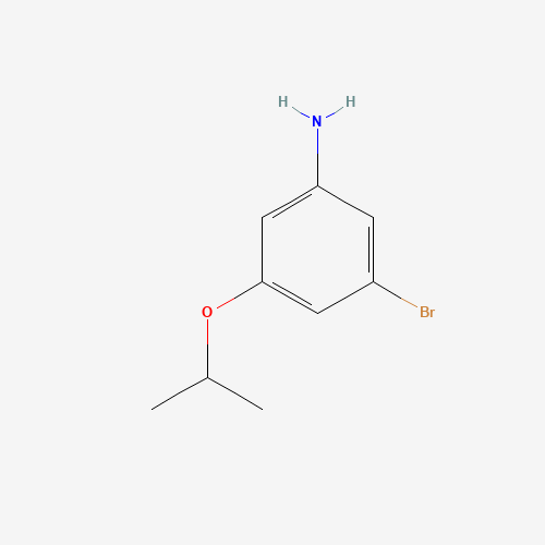 3-Bromo-5-isopropoxyaniline