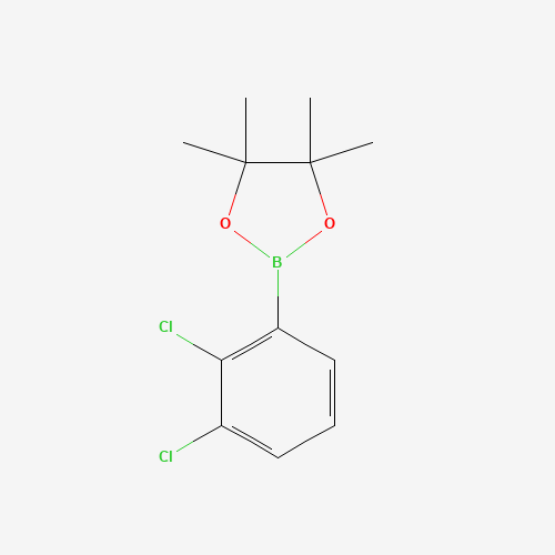 2-(2,3-Dichlorophenyl)-4,4,5,5-tetramethyl-1,3,2-dioxaborolane