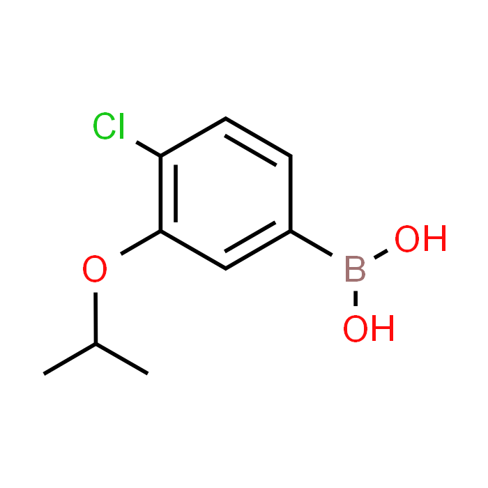 (4-Chloro-3-isopropoxyphenyl)boronic acid