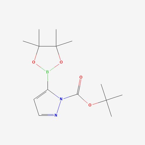 tert-Butyl 5-(4,4,5,5-tetramethyl-1,3,2-dioxaborolan-2-yl)-1H-pyrazole-1-carboxylate