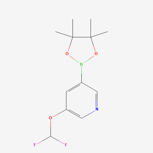 3-(Difluoromethoxy)-5-(4,4,5,5-tetramethyl-1,3,2-dioxaborolan-2-yl)pyridine