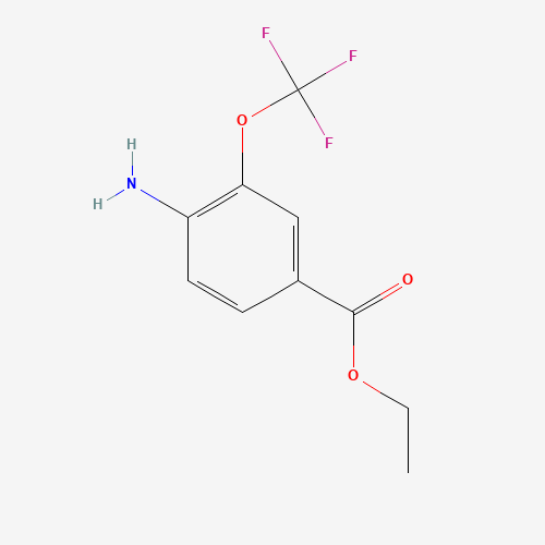 Ethyl 4-amino-3-(trifluoromethoxy)benzoate