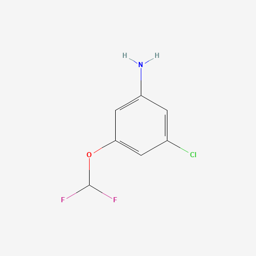 3-Chloro-5-(difluoromethoxy)aniline