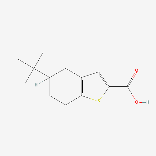 5-(tert-Butyl)-4,5,6,7-tetrahydrobenzo[b]thiophene-2-carboxylic acid