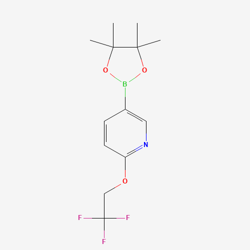 5-(4,4,5,5-Tetramethyl-1,3,2-dioxaborolan-2-yl)-2-(2,2,2-trifluoroethoxy)pyridine