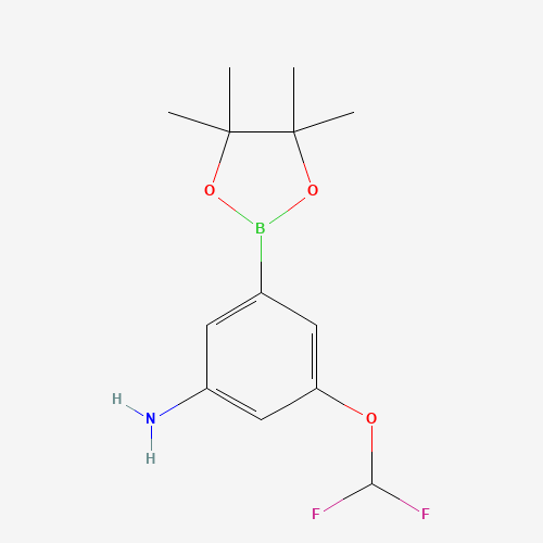 3-(Difluoromethoxy)-5-(4,4,5,5-tetramethyl-1,3,2-dioxaborolan-2-yl)aniline