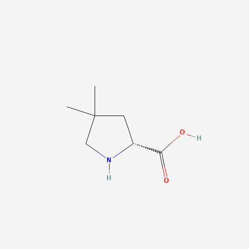 (R)-4,4-Dimethylpyrrolidine-2-carboxylic acid