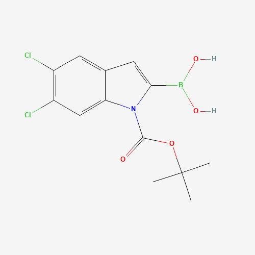 (1-(tert-Butoxycarbonyl)-5,6-dichloro-1H-indol-2-yl)boronic acid