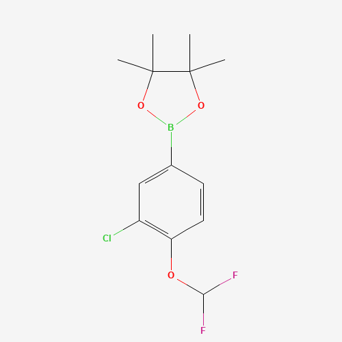 2-(3-Chloro-4-(difluoromethoxy)phenyl)-4,4,5,5-tetramethyl-1,3,2-dioxaborolane