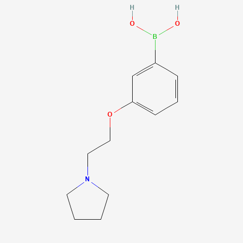 (3-[2-(Pyrrolidin-1-yl)ethoxy]phenyl)boronic acid