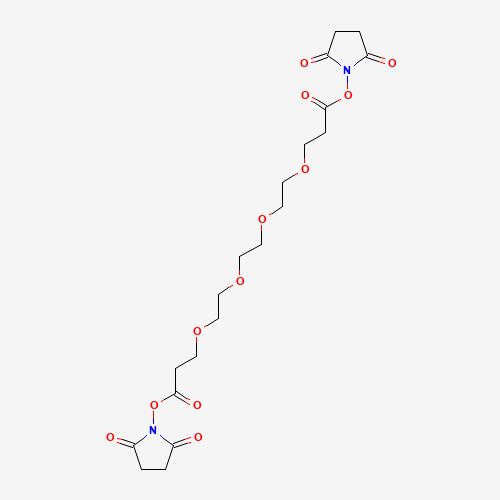 Bis-PEG4-NHS ester