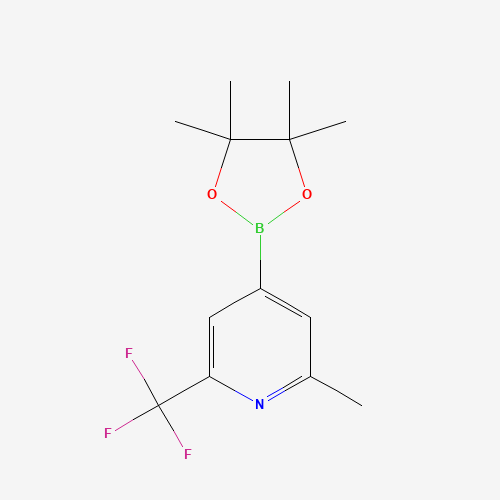 2-Methyl-4-(4,4,5,5-tetramethyl-1,3,2-dioxaborolan-2-yl)-6-(trifluoromethyl)pyridine