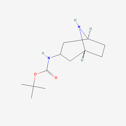 endo-tert-Butyl 8-azabicyclo[3.2.1]octan-3-ylcarbamate