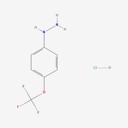 (4-(Trifluoromethoxy)phenyl)hydrazine hydrochloride