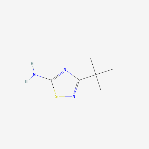 3-(tert-Butyl)-1,2,4-thiadiazol-5-amine