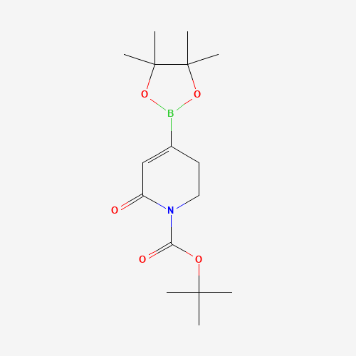 tert-Butyl 6-oxo-4-(4,4,5,5-tetramethyl-1,3,2-dioxaborolan-2-yl)-3,6-dihydropyridine-1(2H)-carboxylate
