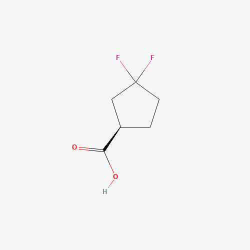 (R)-3,3-Difluorocyclopentanecarboxylic acid