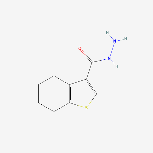 4,5,6,7-Tetrahydrobenzo[b]thiophene-3-carbohydrazide