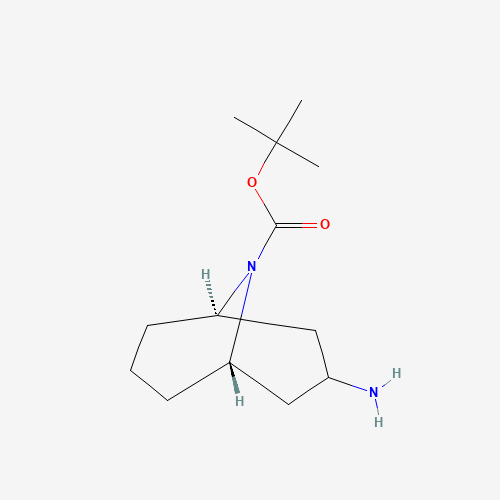 (3-exo)-tert-Butyl 3-amino-9-azabicyclo[3.3.1]nonane-9-carboxylate