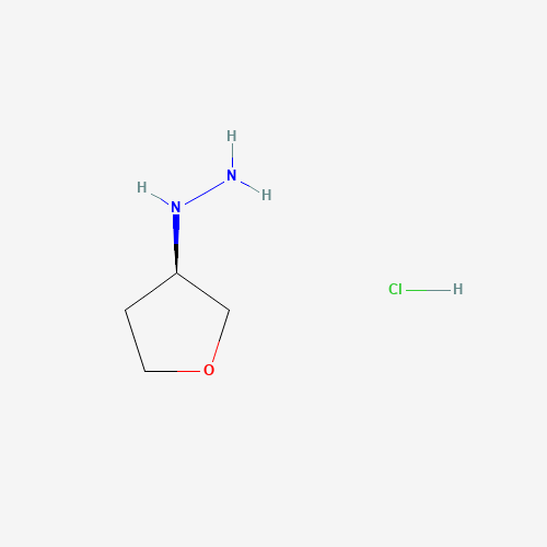 (R)-(Tetrahydrofuran-3-yl)hydrazine hydrochloride