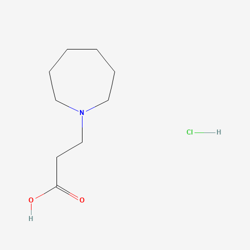 3-(Azepan-1-yl)propanoic acid hydrochloride
