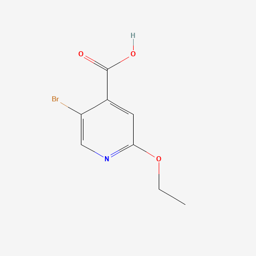 5-Bromo-2-ethoxyisonicotinic acid