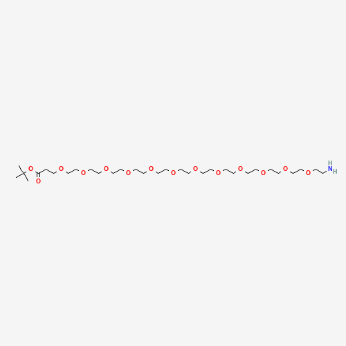 Amino-PEG12-Boc