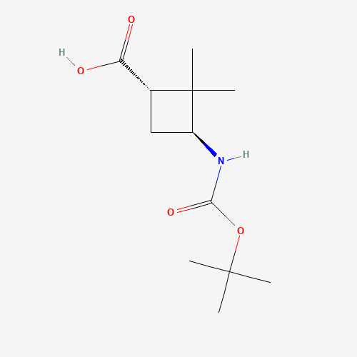 trans-3-(Boc-amino)-2,2-dimethylcyclobutane-carboxylic acid