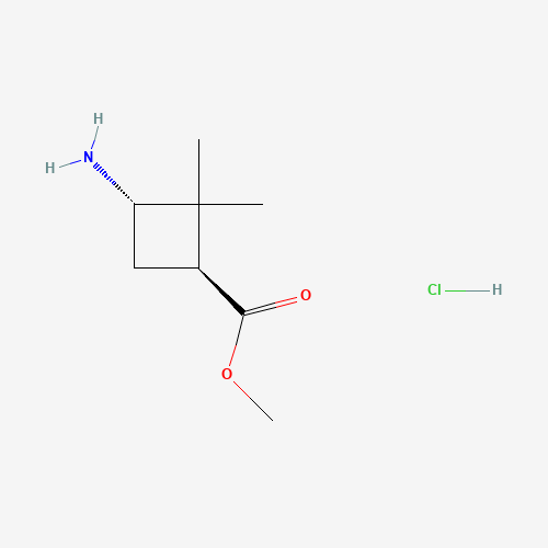 trans-Methyl 3-amino-2,2-dimethyl-cyclobutanecarboxylate hydrochloride