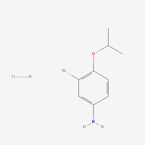 3-Bromo-4-(propan-2-yloxy)aniline hydrochloride
