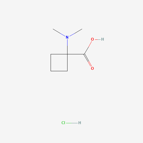 1-(Dimethylamino)cyclobutane-1-carboxylic acid hydrochloride