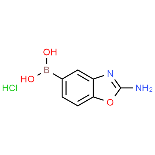 (2-Amino-1,3-benzoxazol-5-yl)boronic acid hydrochloride