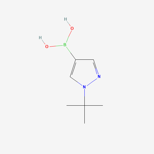 (1-(tert-Butyl)-1H-pyrazol-4-yl)boronic acid