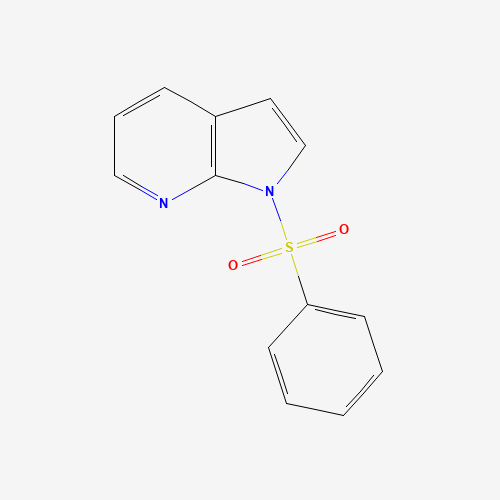 1-(Phenylsulfonyl)-7-azaindole