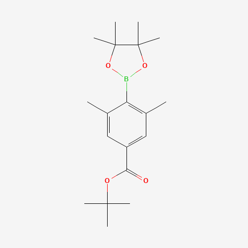 tert-Butyl 3,5-dimethyl-4-(4,4,5,5-tetramethyl-1,3,2-dioxaborolan-2-yl)benzoate