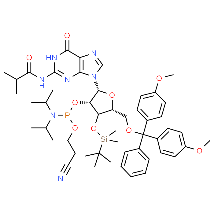 JFN05510