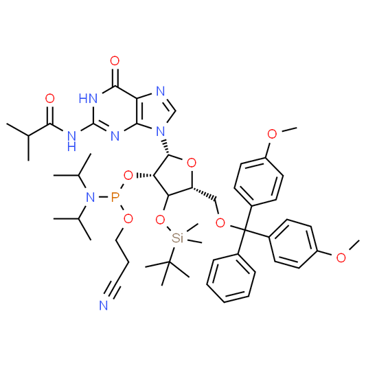 JFN05510
