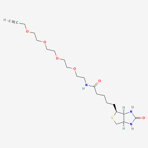 Biotin-PEG4-alkyne
