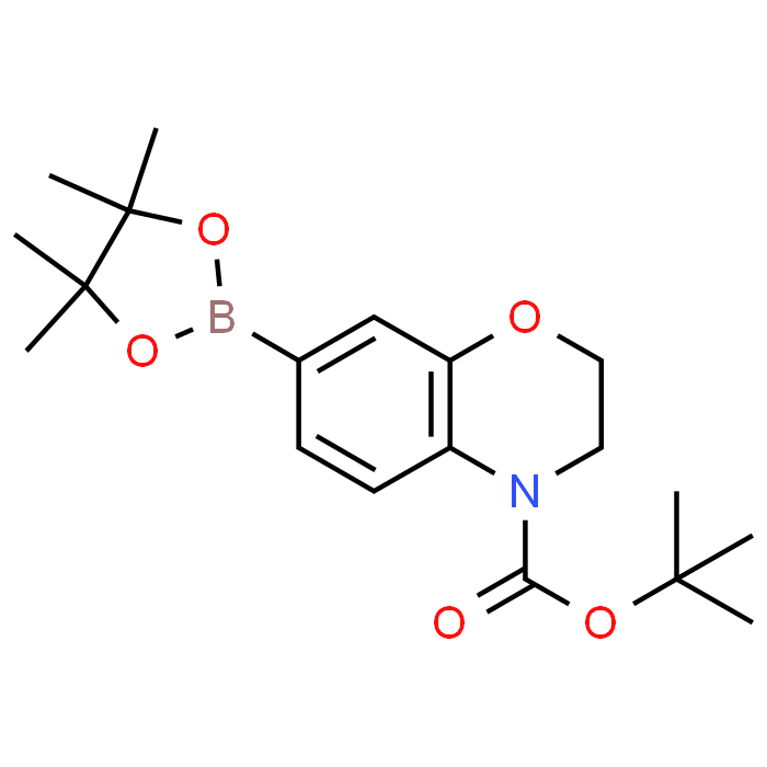 tert-Butyl 7-(4,4,5,5-tetramethyl-1,3,2-dioxaborolan-2-yl)-2H-benzo[b][1,4]oxazine-4(3H)-carboxylate