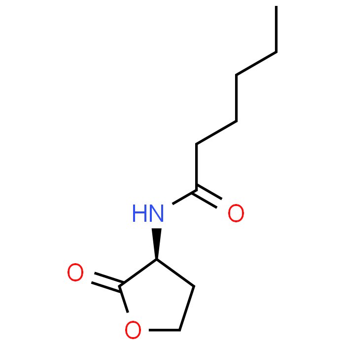 (S)-N-(2-Oxotetrahydrofuran-3-yl)hexanamide