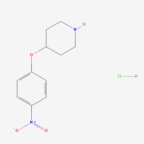 4-(4-Nitrophenoxy)piperidine hydrochloride