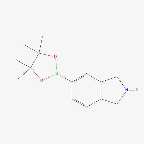 5-(4,4,5,5-Tetramethyl-1,3,2-dioxaborolan-2-yl)isoindoline