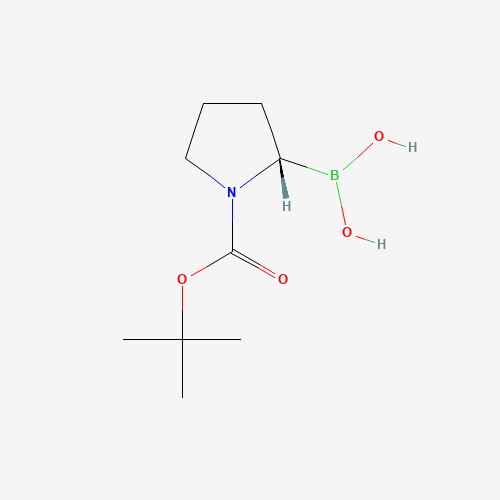 N-Boc-Pyrrolidin-2-(S)-ylboronic acid