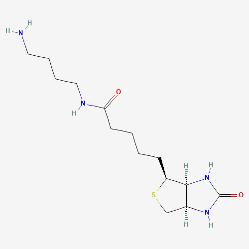 Biotin-C4-amide-C5-NH2